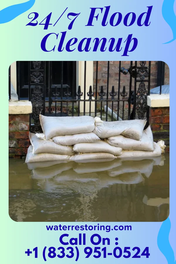 24/7 Flood Cleanup in Loch Lomond, VA