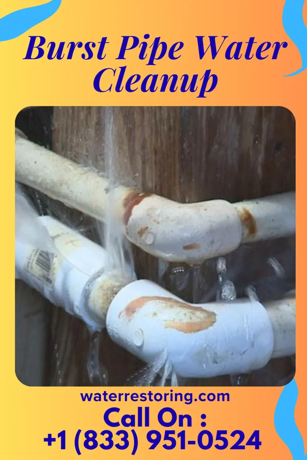 Burst Pipe Water Cleanup in Loch Lomond, VA