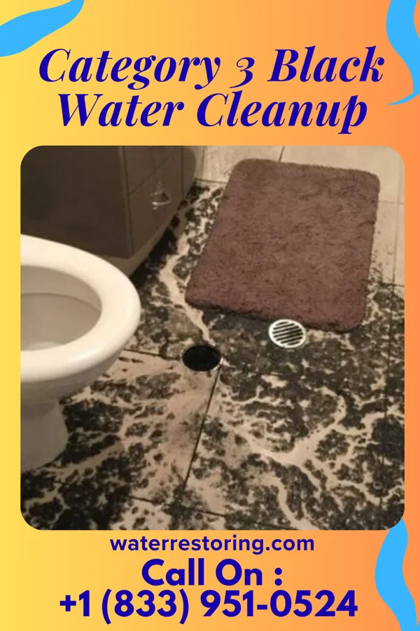 Category 3 Black Water Cleanup in Loch Lomond, VA