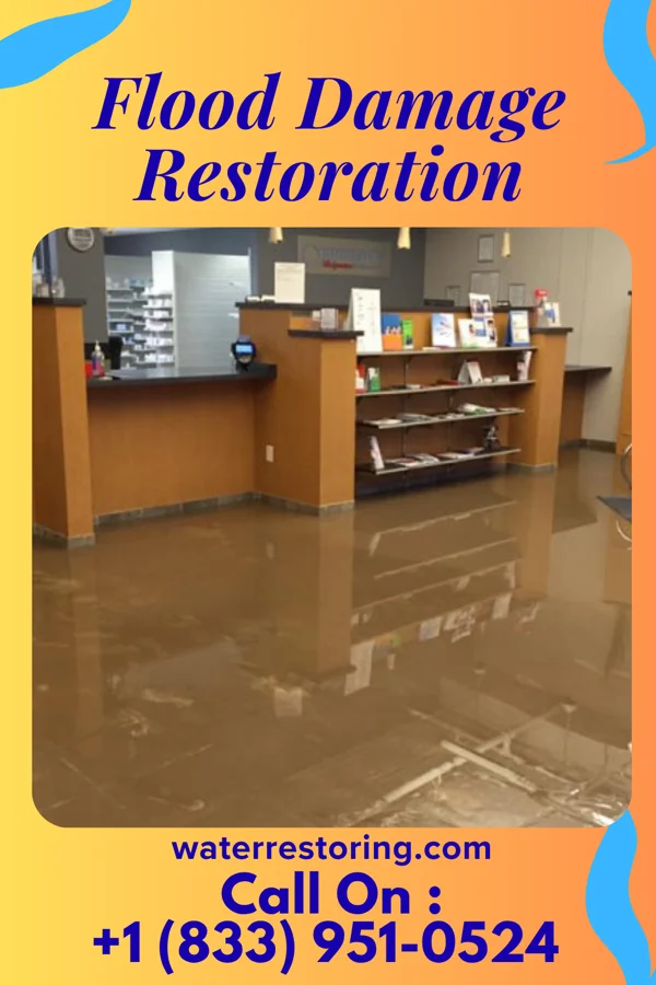Flood Damage Restoration in Loch Lomond, VA