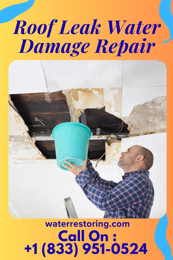 Roof Leak Water Damage Repair in Loch Lomond, VA