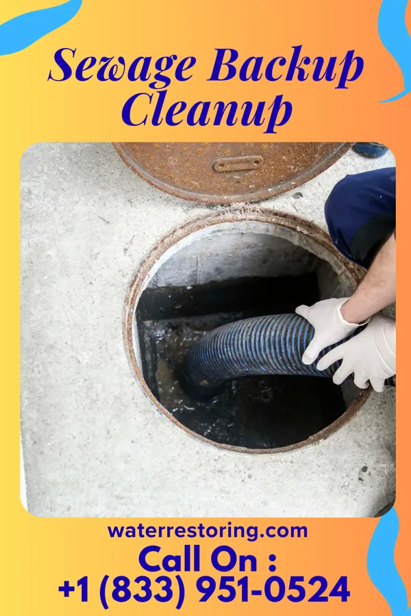 Sewage Backup Cleanup in Loch Lomond, VA